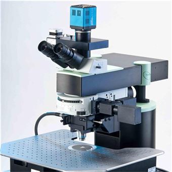 德国Lavision Biotec 双光子荧光显微镜TriM Scope 产品关键词:trim光