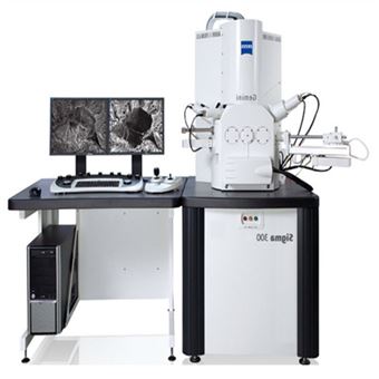 德国Zeiss  场发射电子显微镜 SIGMA 300