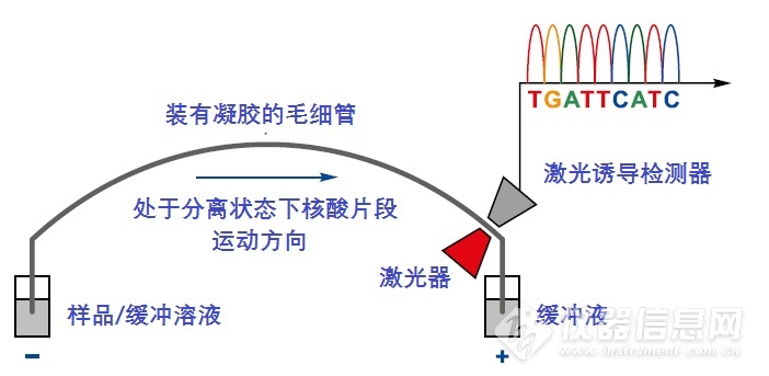 NANOFOR 05 原理.png